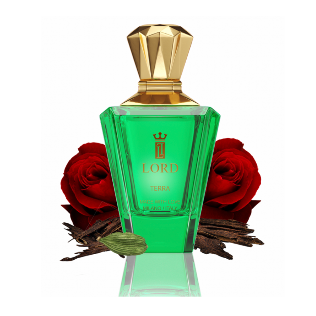 TERRA EDP