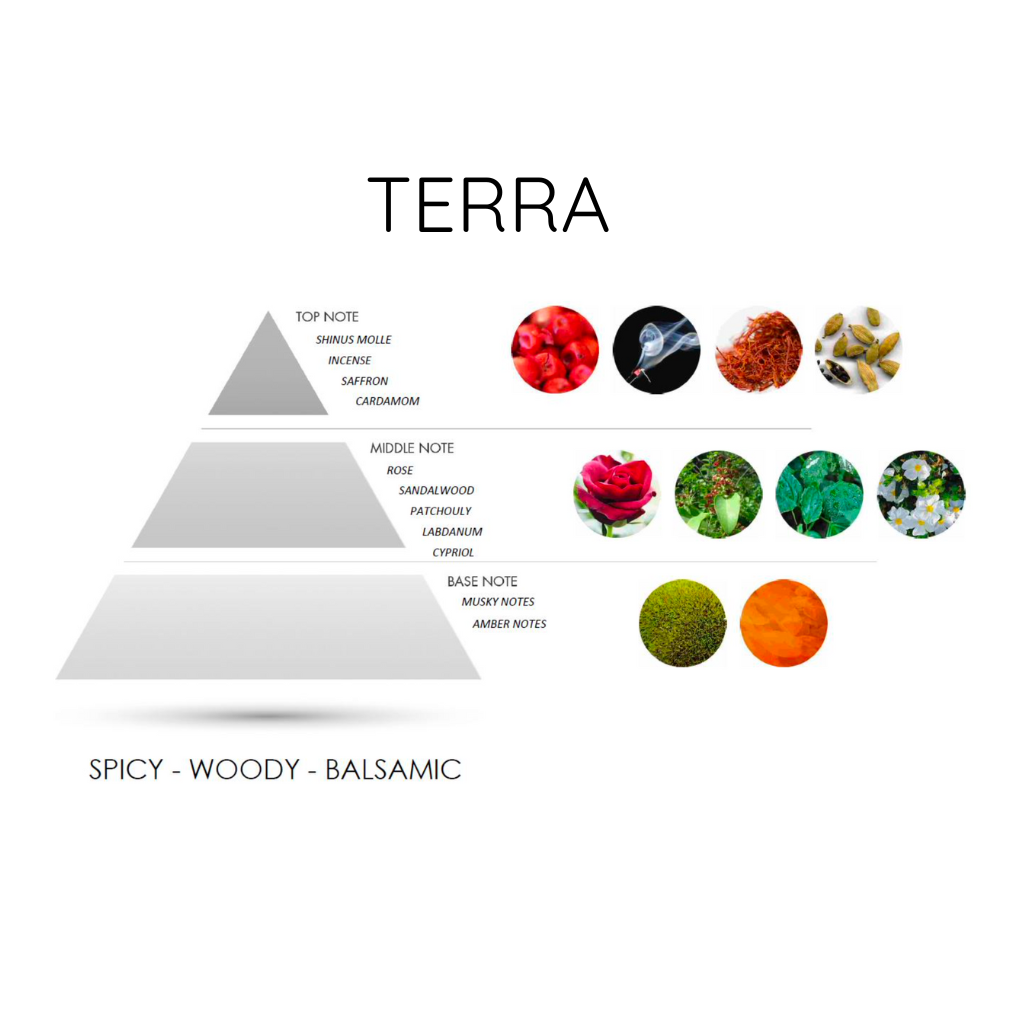 TERRA EDP