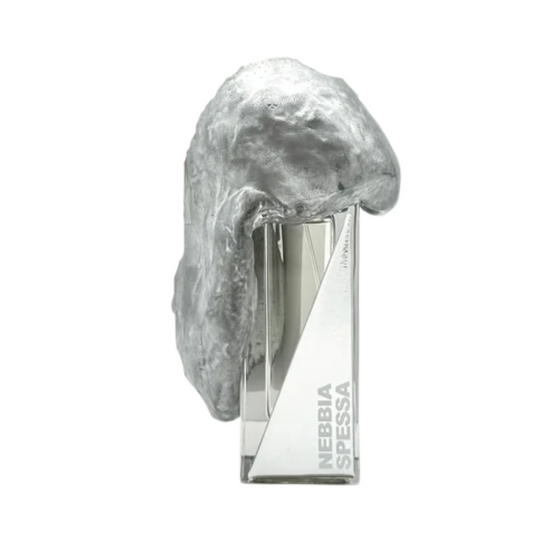 NEBBIA SPESSA "thick fog" EDP